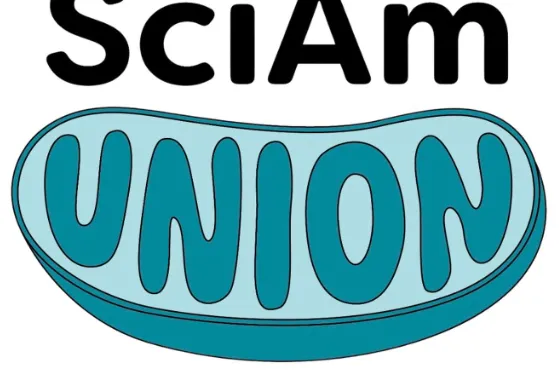 Scientific American Unionizes with WGA East, Demands Voluntary Recognition